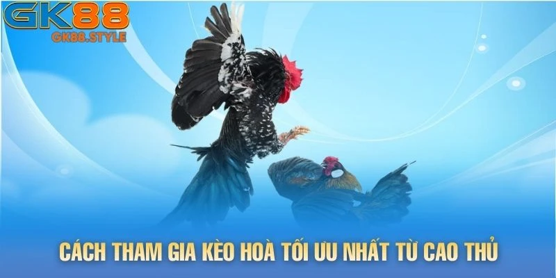 Cách tham gia kèo hoà tối ưu nhất từ cao thủ
