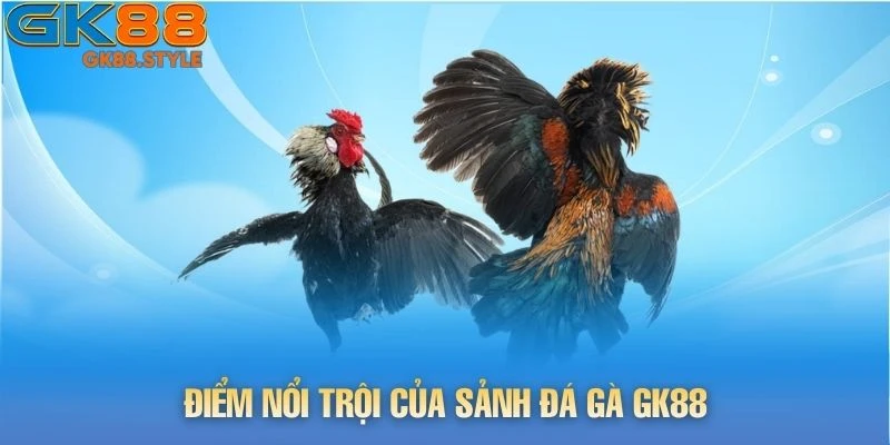 Điểm nổi trội của sảnh đá gà gk88