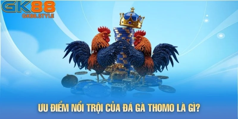 Ưu điểm nổi trội của đá gà thomo là gì?